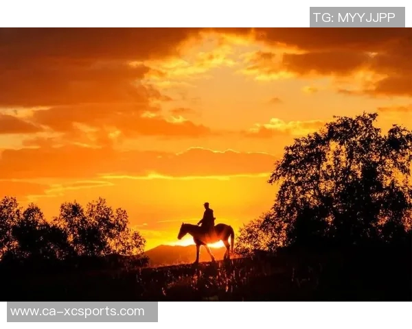 香港足球电影的热血与梦想探索：从草根到职业的奋斗之路